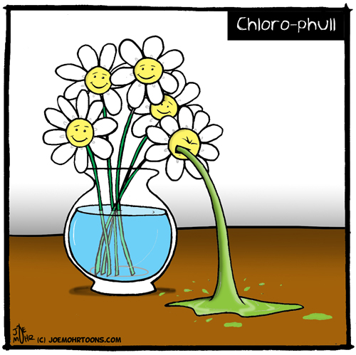 Chlorophull.