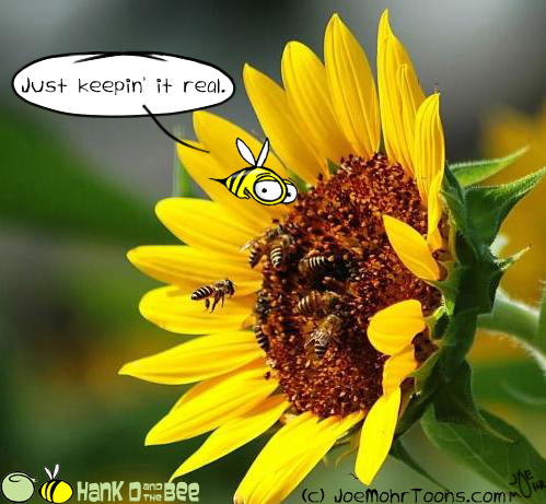 Hank D and the Bee: Bee keeping...