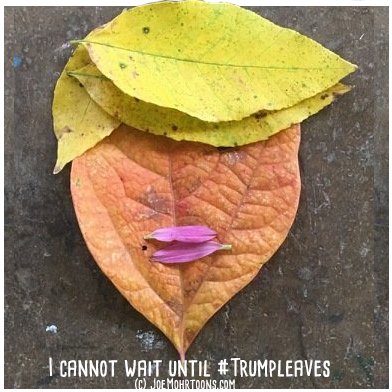 trumpleaves